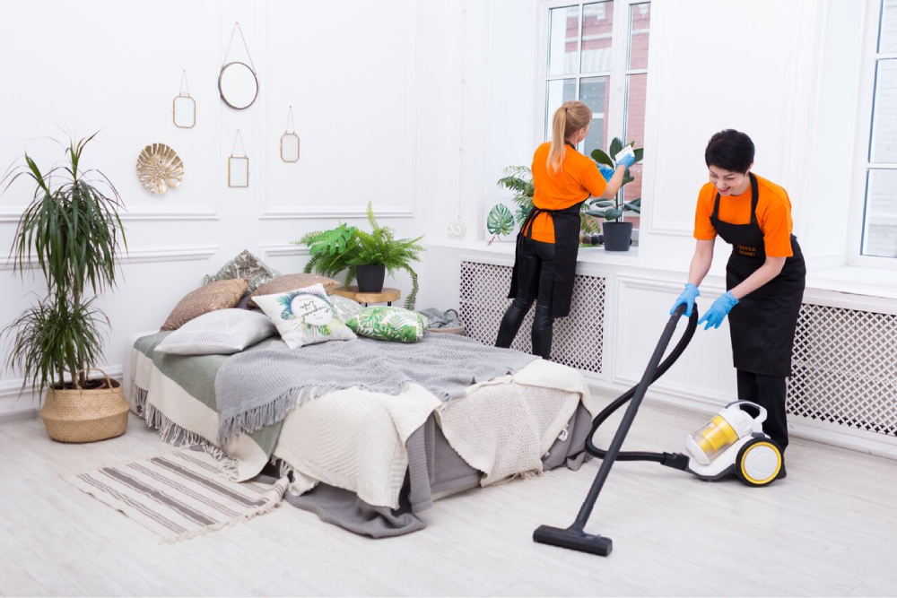 Detailed Cleaning